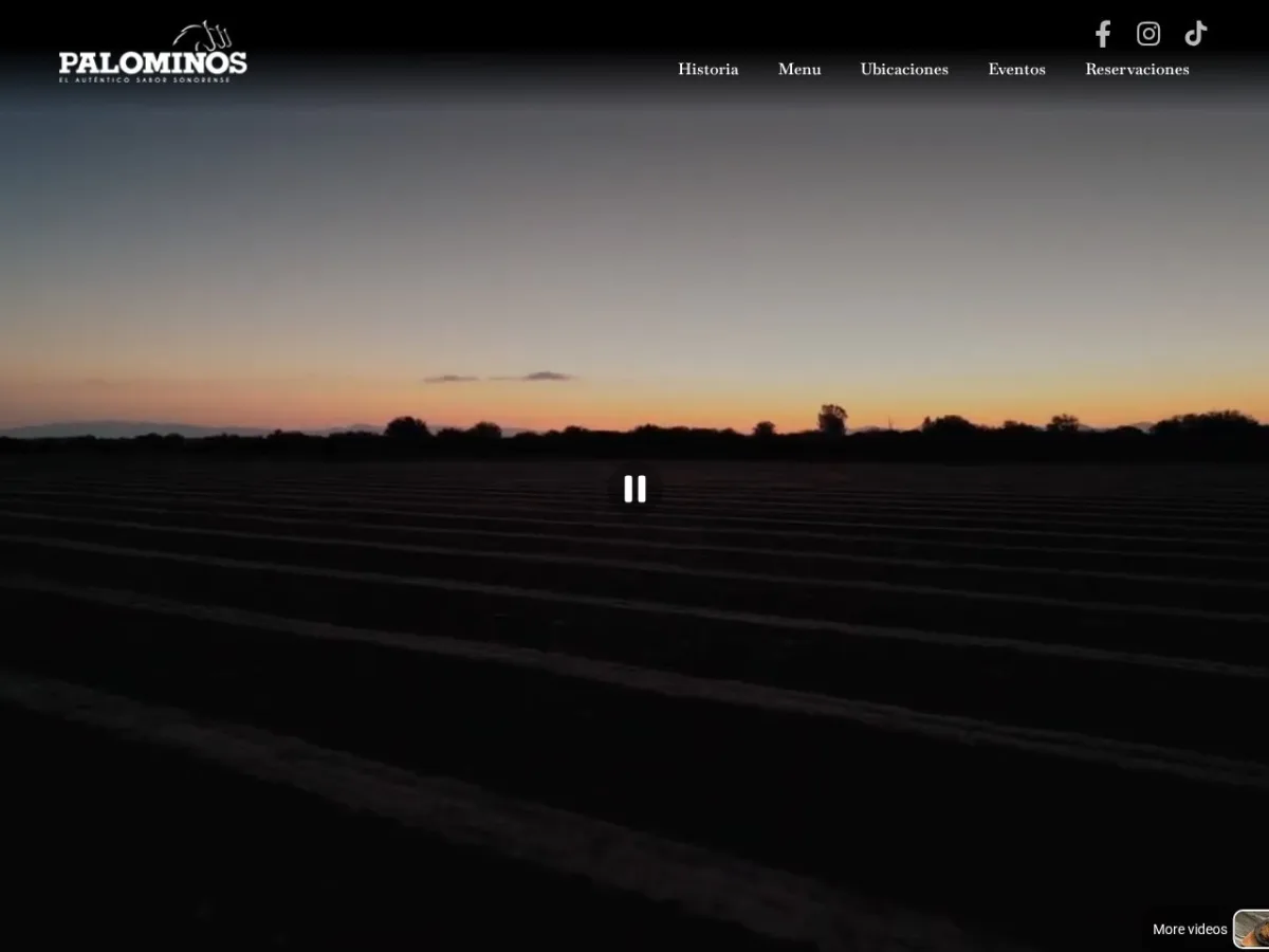 Restaurante Palominos